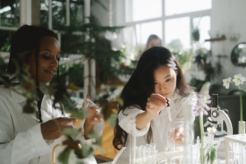 Free Two women in lab coats conducting an experiment in a sunlit indoor laboratory setting. Stock Photo