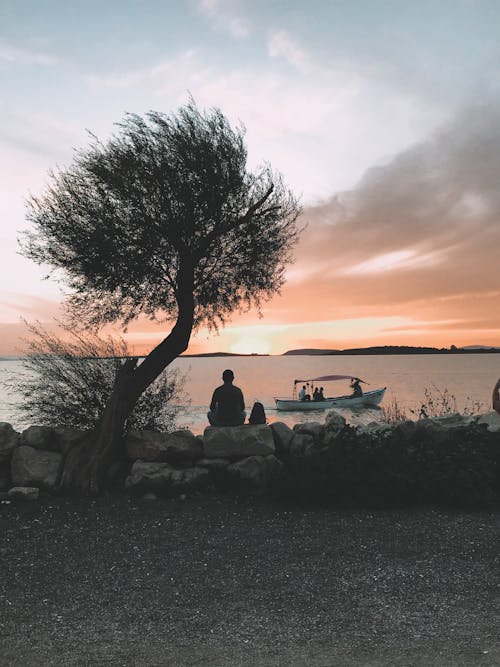 Man Sitting on Rocks Beside the Tree 