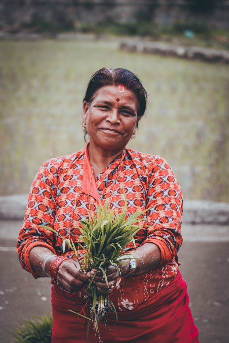 Portrait Of A Woman In A Red Patterned Blouse Holding Green Rice Plant