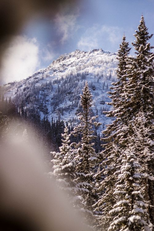 Free Beautiful snowy mountain landscape with evergreen trees under a clear winter sky. Stock Photo