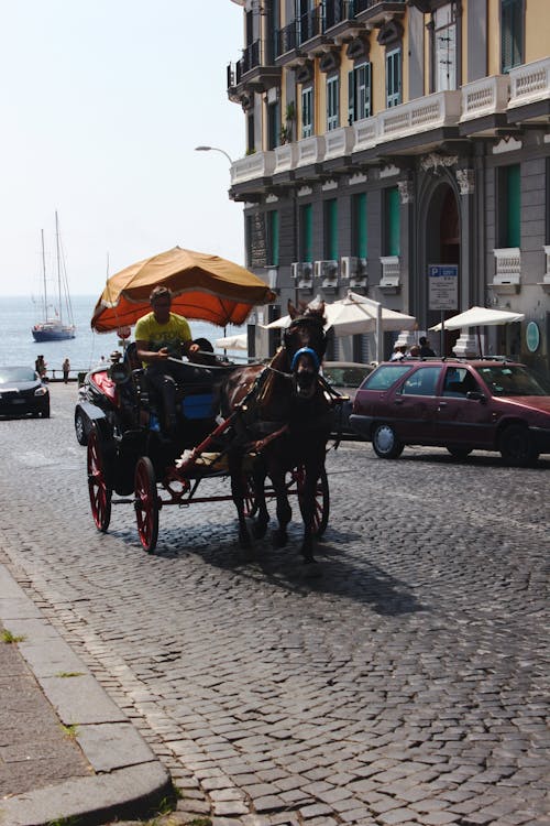 Man Driving Carriage Down Cobblestone Street