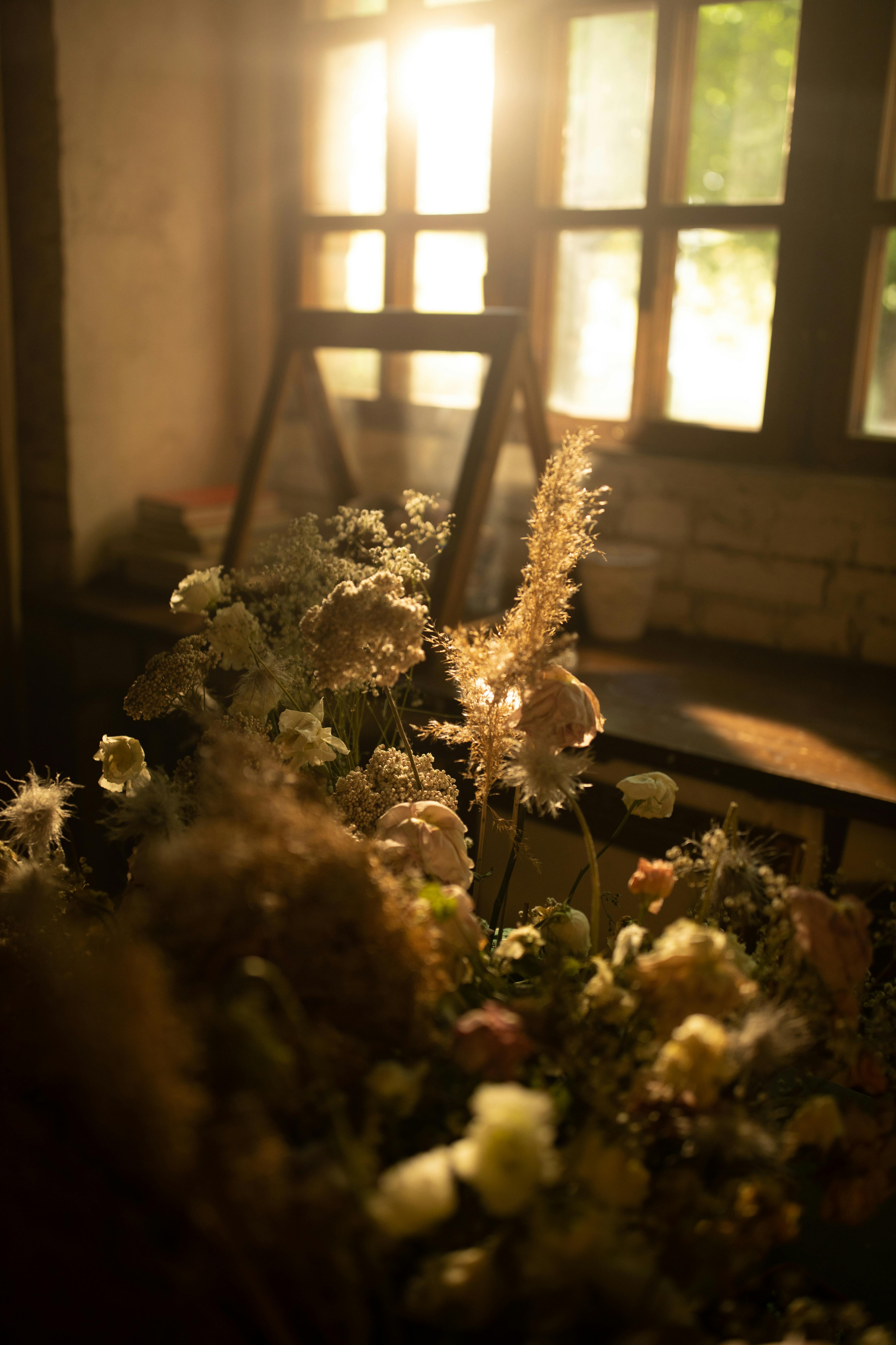 A warm bouquet of flowers basking in sunlight by a window