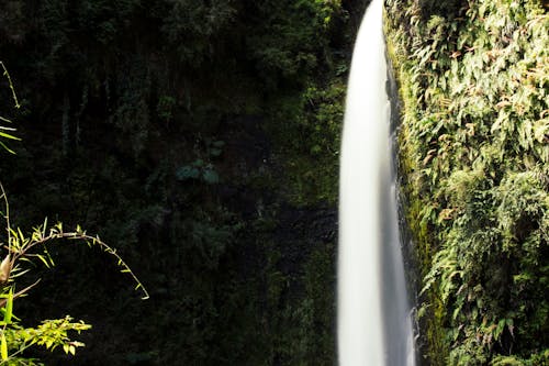 Fotos de stock gratuitas de agua, belleza, cascada