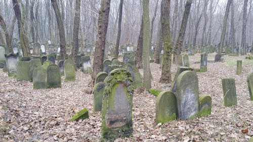 Free stock photo of jewish cemetery, old cemetery, old grave Stock Photo