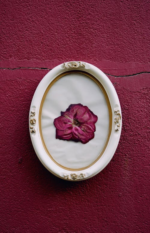 A decorative ceramic oval frame with a dried purple flower in the centre