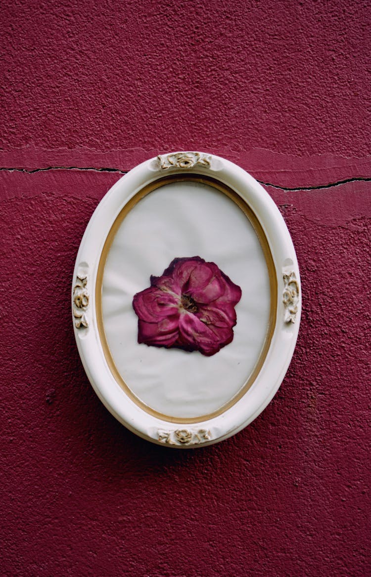 Dried Purple Flower In Oval Ceramic Frame