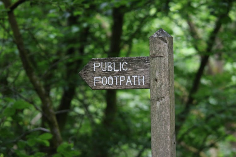 Wooden Signpost In Forest