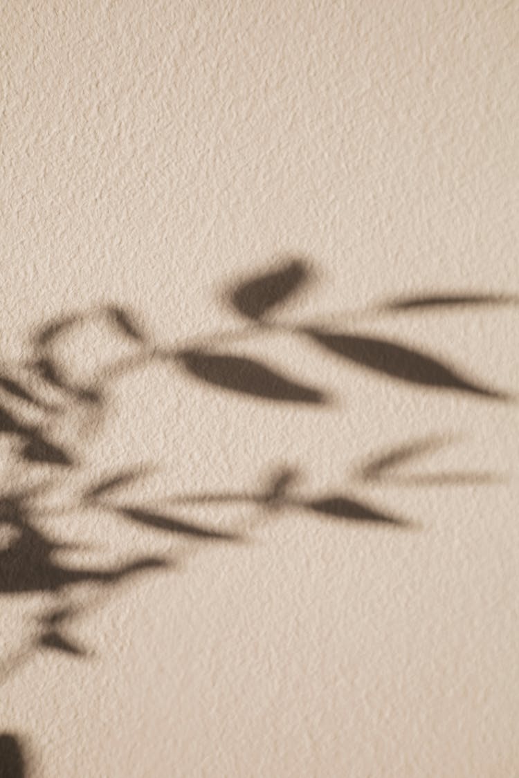 A Concrete Wall With A Shadow Of A Plant