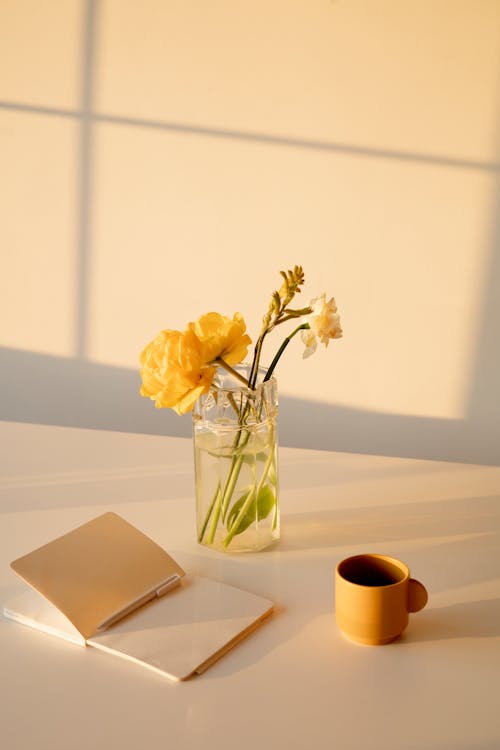 Yellow Flower in Clear Glass Vase on White Surface