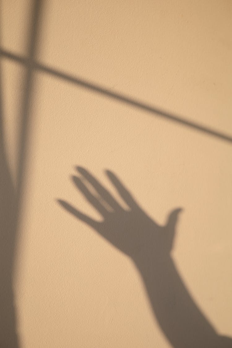 Shadow Of A Hand On The Wall 