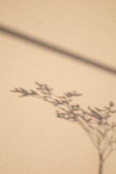 Soft shadow of a plant cast on a beige wall creating a tranquil ambiance.