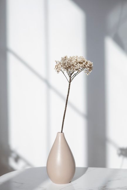 Minimalist flower vase with delicate flower in soft sunlight on a white surface.