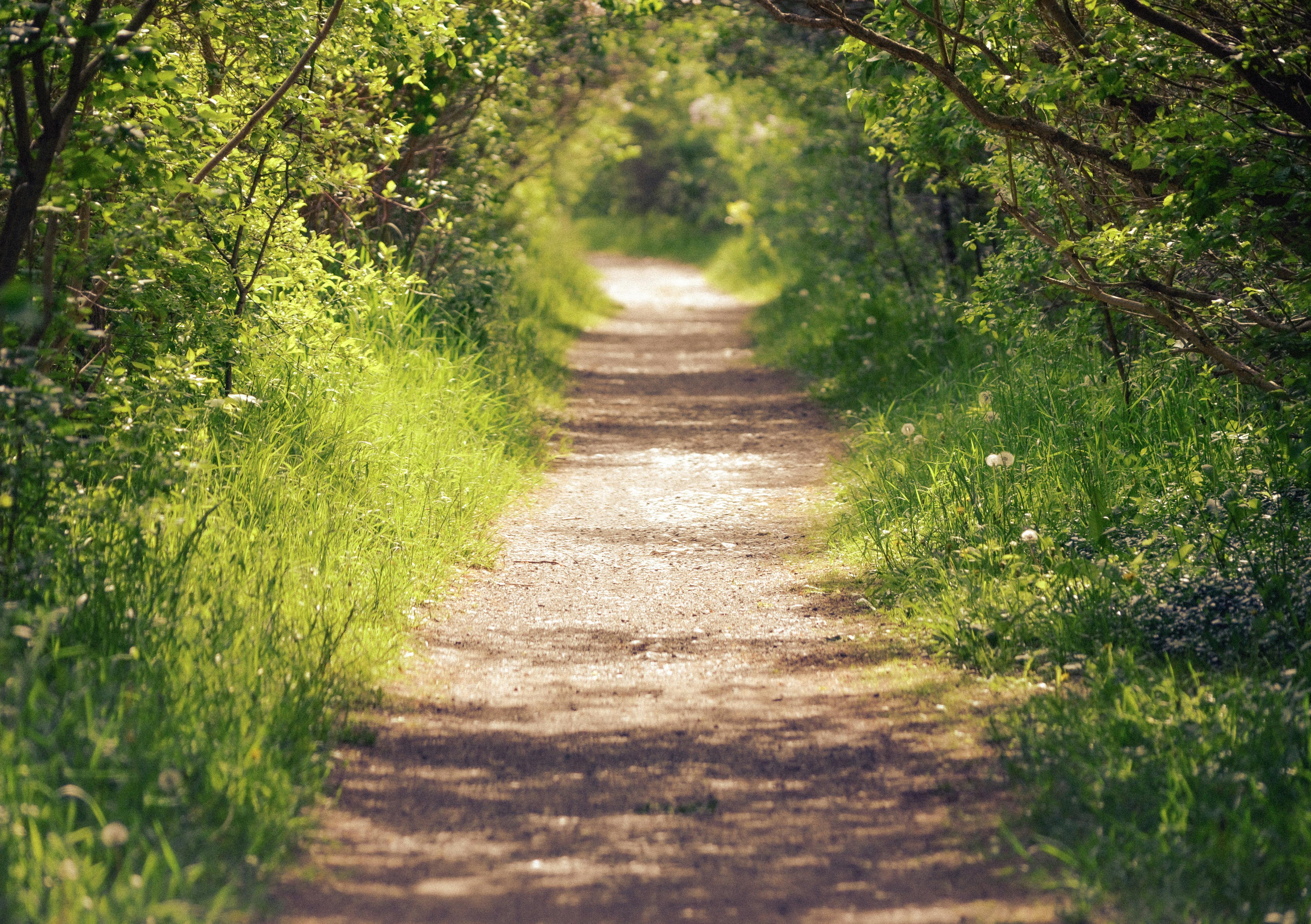 The lifelong journey of personal development - Meer — Photo by Megan Lee on Pexels