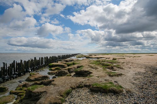 Fotobanka s bezplatnými fotkami na tému breh, drevené stožiare, horizont