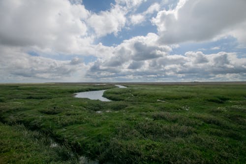 Gratis stockfoto met blikveld, buiten, grasland