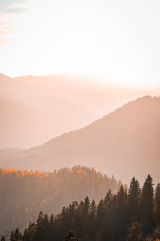 Beautiful sunrise over misty mountains with scenic autumn foliage offering a tranquil view.