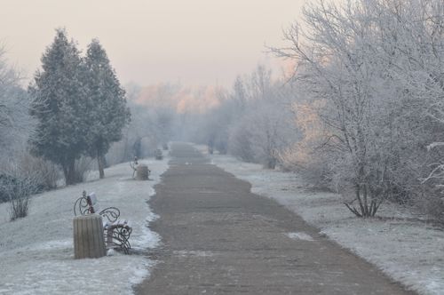 Free Serene winter landscape with a foggy path lined by frosty trees and benches. Stock Photo