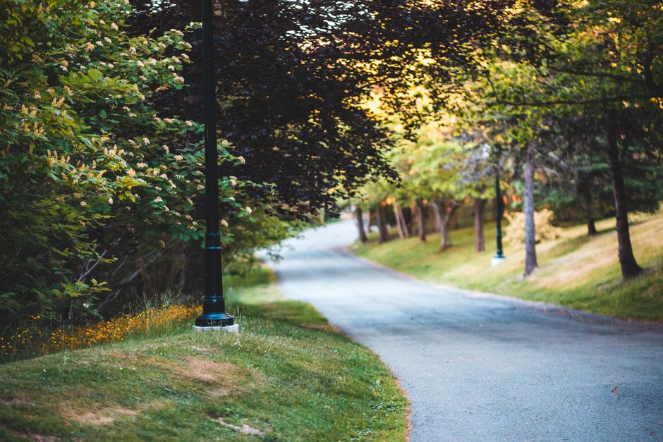 A peaceful park pathway with lampposts and trees providing a tranquil setting.
