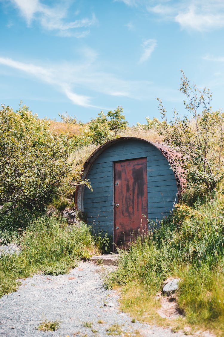 Round Bunker Entrance And Bushes