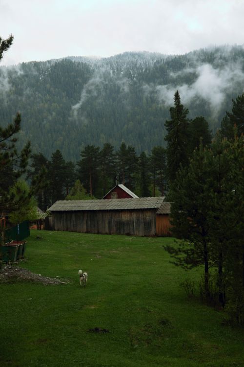 Free A tranquil rural scene featuring a wooden barn amidst misty mountains and lush greenery, capturing nature's serenity. Stock Photo