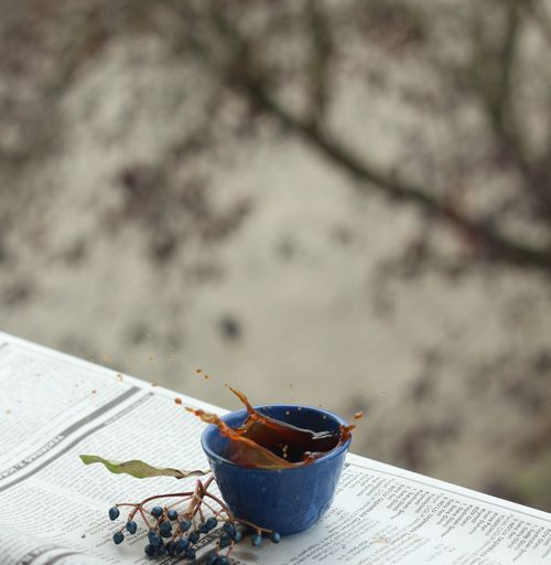Free Ceramic cup of coffee splashing above newspaper with fresh blueberries on sprig in daytime Stock Photo