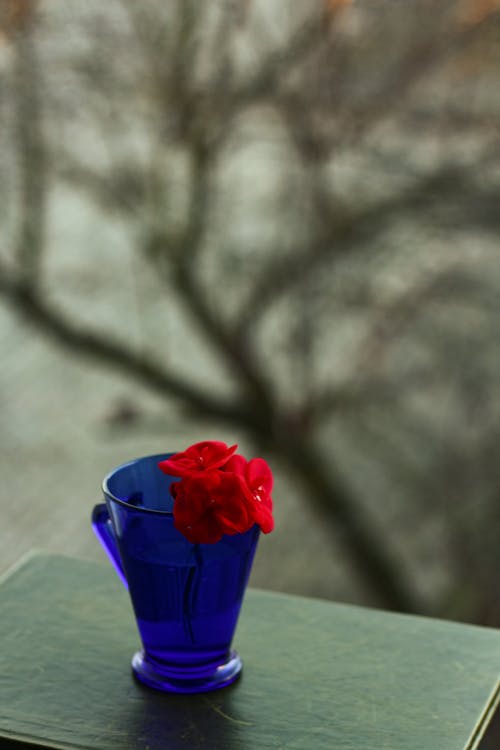 Red Flowers in Blue Cup