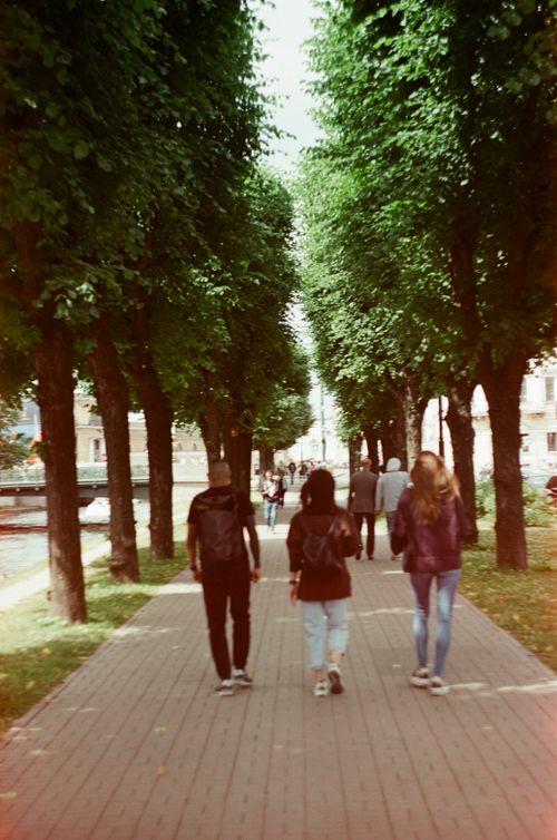 Free A serene park scene with people walking on a tree-lined path, evoking a sense of tranquility and leisure. Stock Photo