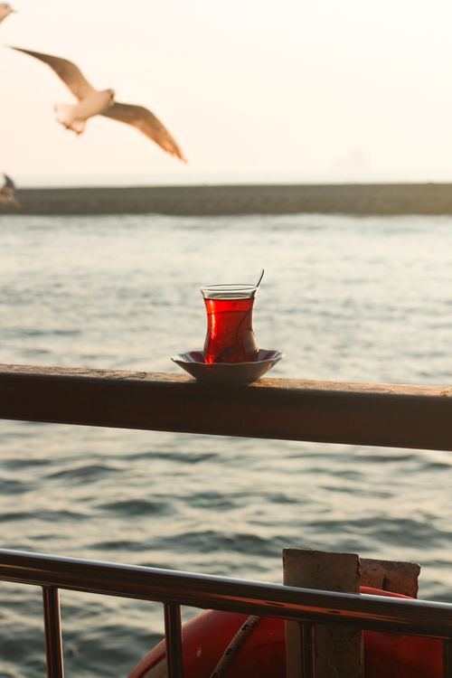 Free A glass of Turkish tea on a pier railing with a seagull flying over the sea at sunset. Stock Photo