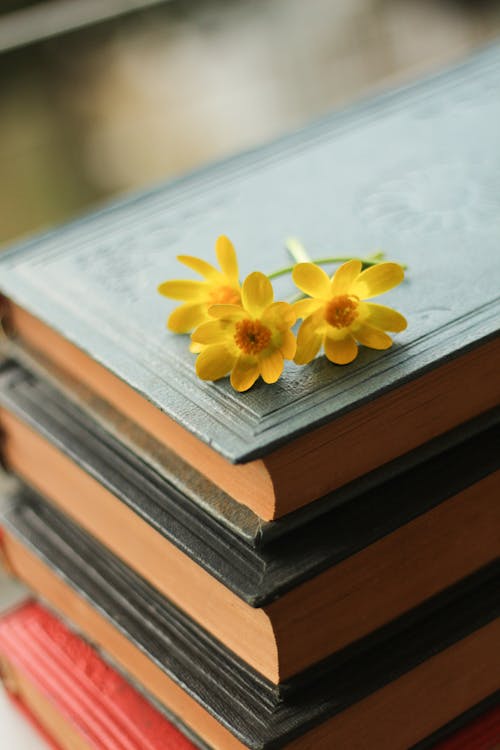 Yellow Flower Heads on a Pile of Vintage Books