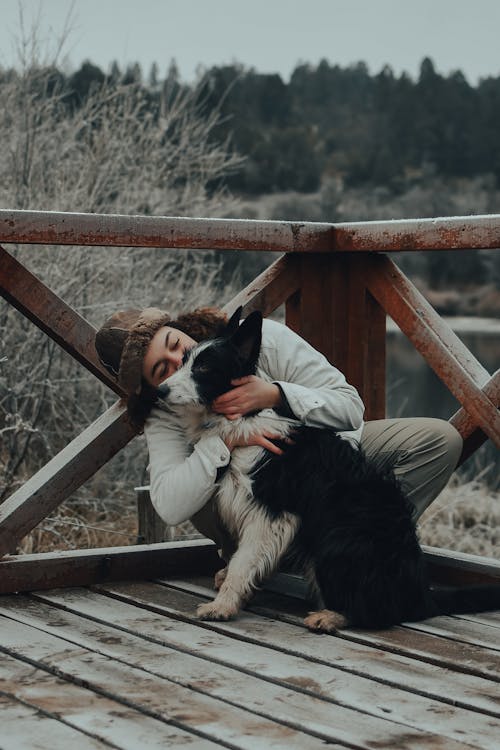 Foto profissional grátis de animal de estimação, animal doméstico, beijando