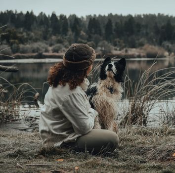 Free stock photo of adult, animal, canine