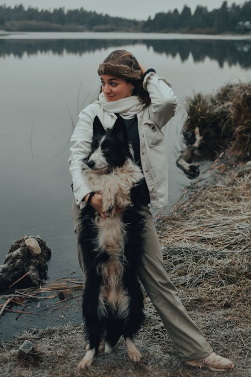 Foto profissional grátis de animal de estimação, animal doméstico, border collie