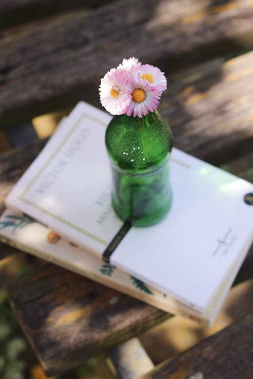 Daisies in Bottle