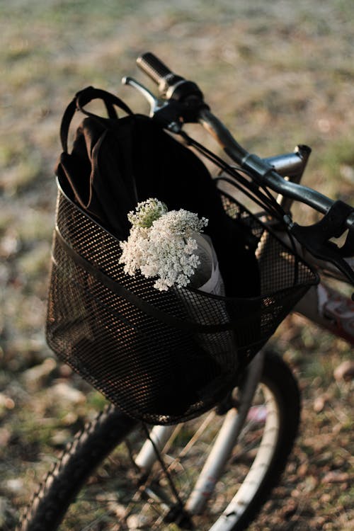 White Flowers in the Basket