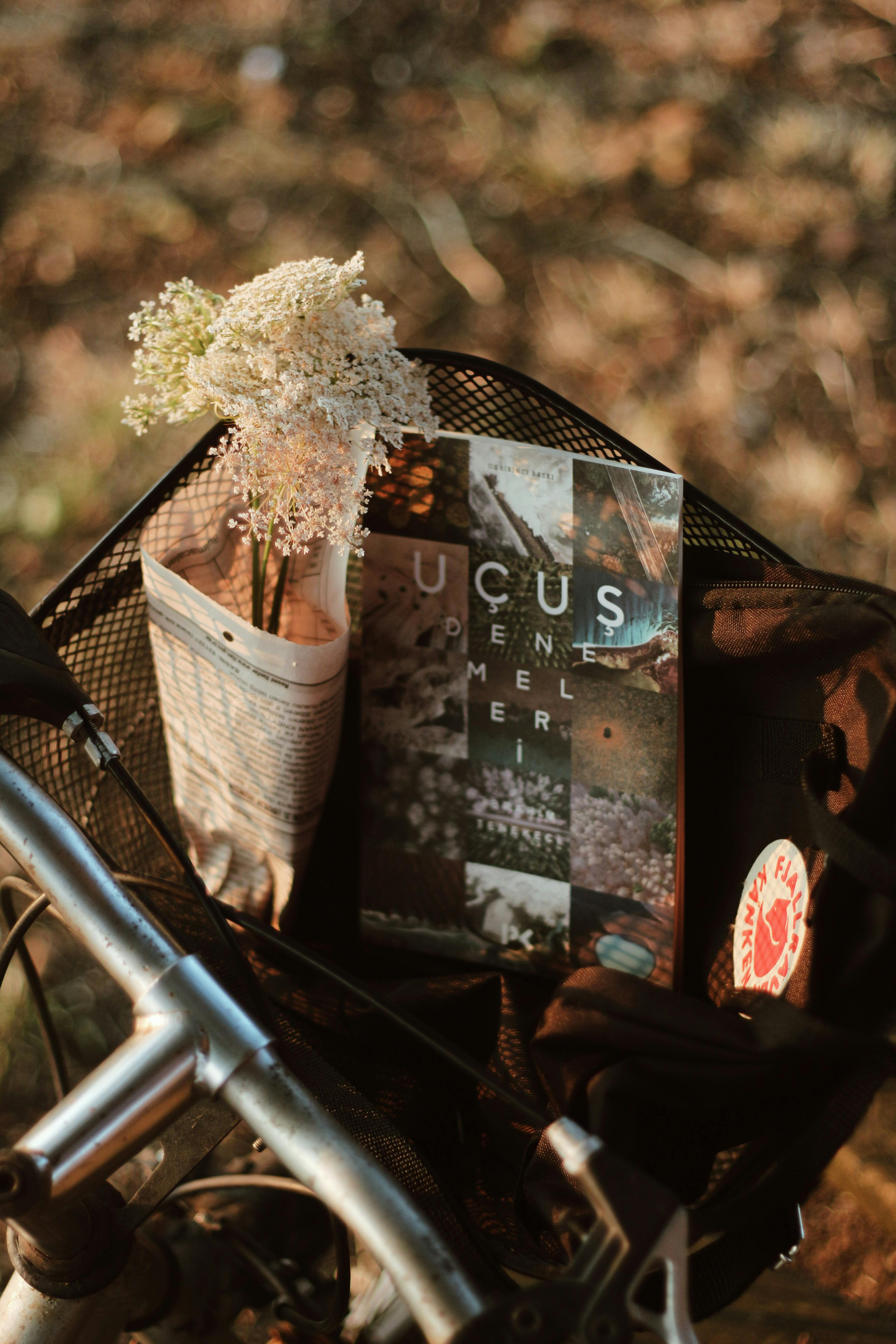 A bicycle basket holds a book and baby's breath flowers with a blurred background on a sunny day.