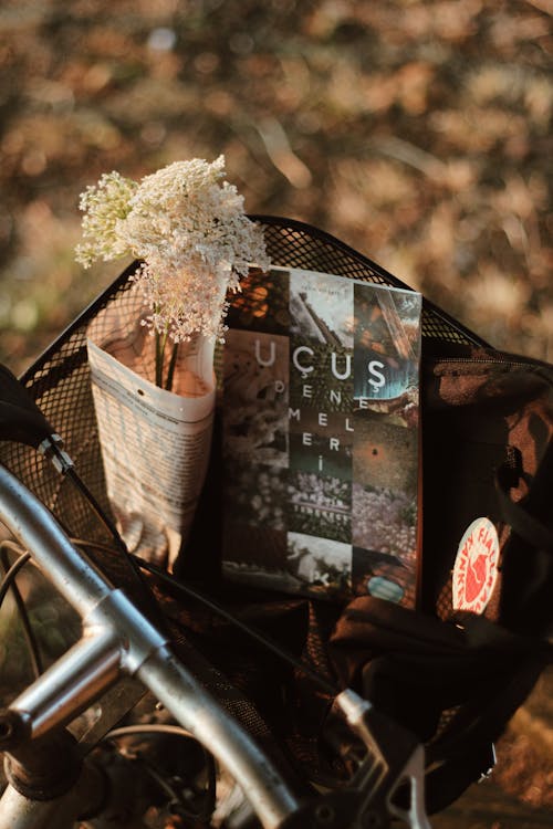 A Bicycle Basket with Book and Flowers