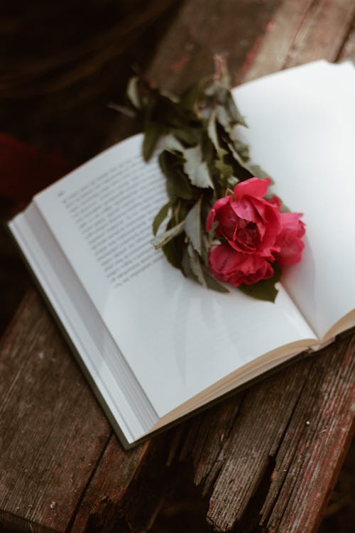 Red Rose on the Book