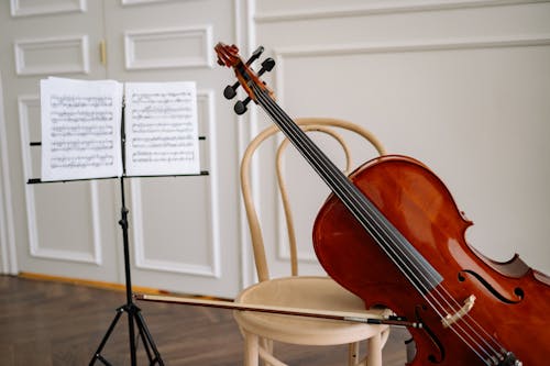 Бесплатное стоковое фото с виолончель, крупный план, музыкальный инструмент