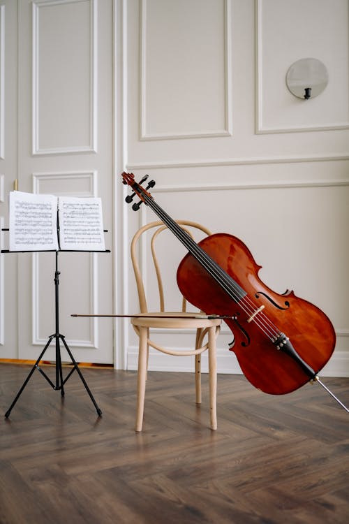 Бесплатное стоковое фото с вертикальный выстрел, виолончель, музыкальный инструмент