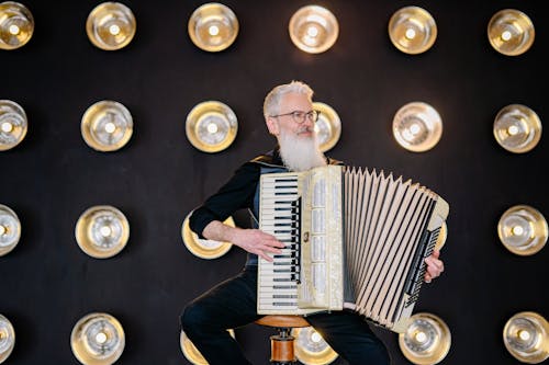 Gratuit Imagine de stoc gratuită din acordeon, artist, cu barbă Fotografie de stoc