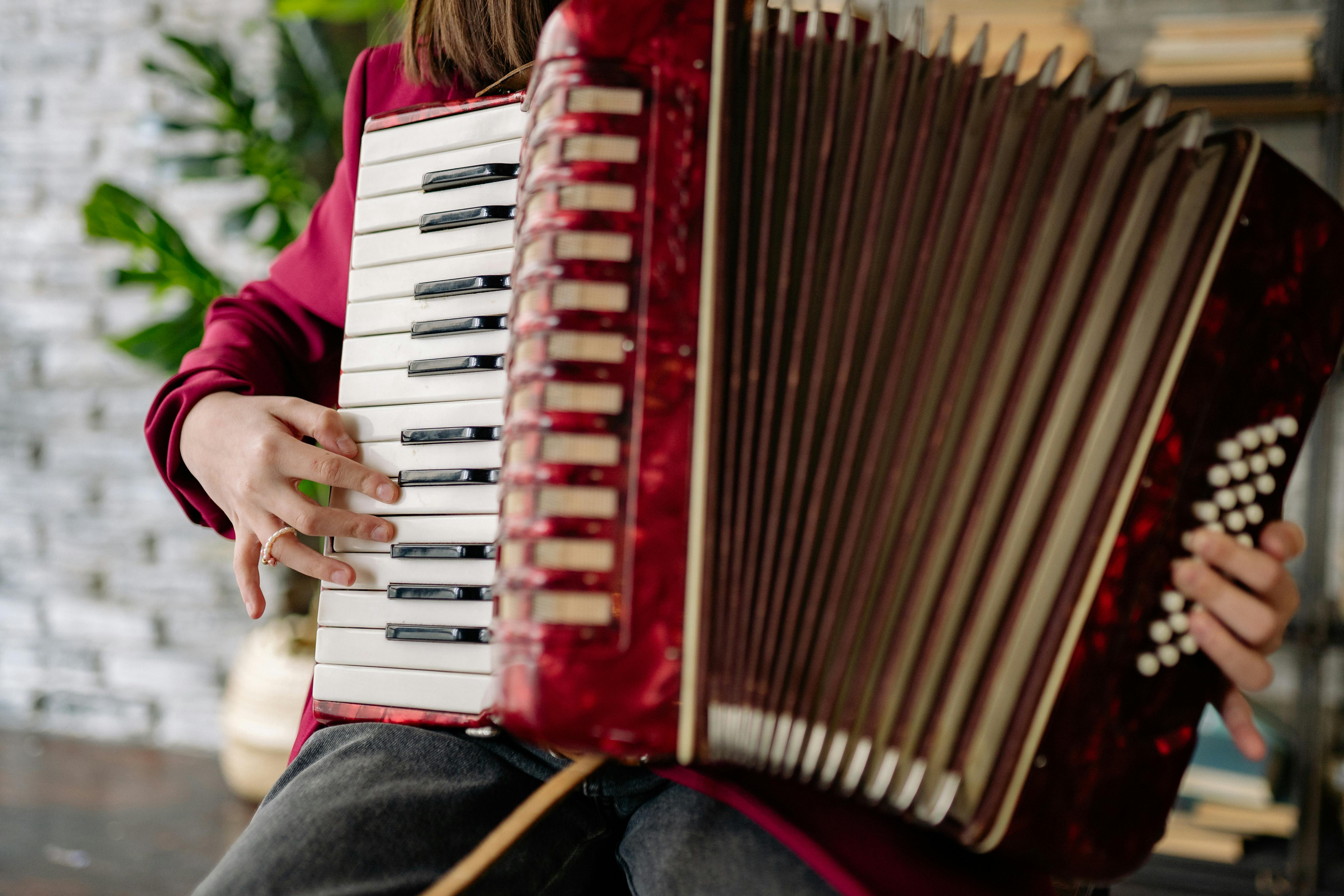 154+ Best Free Accordion Stock Photos & Images · 100% Royalty-Free HD ...