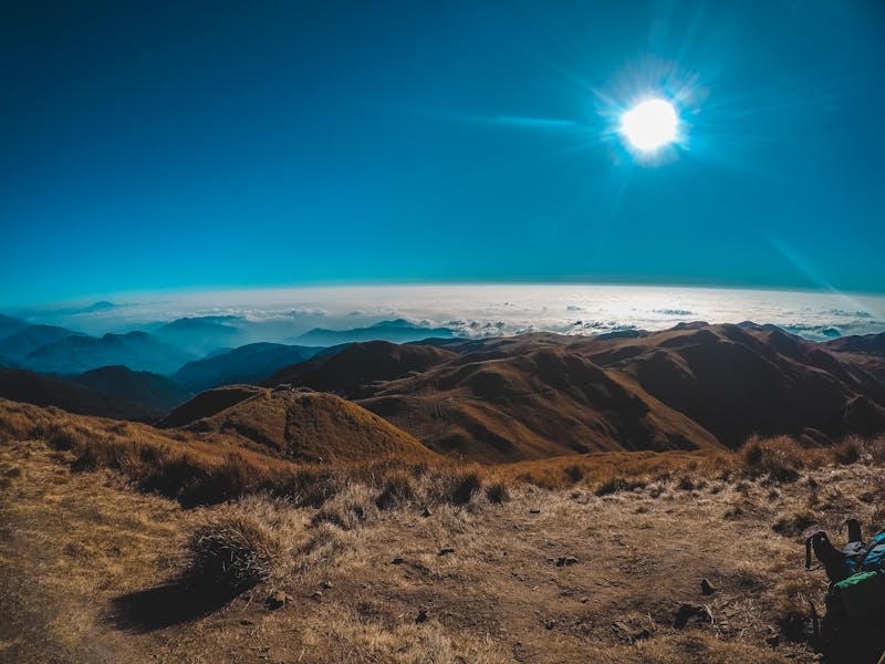 Music instructors teaching in professional environment