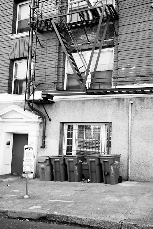 Free Grayscale Photo of Trash Bins Beside Building Stock Photo