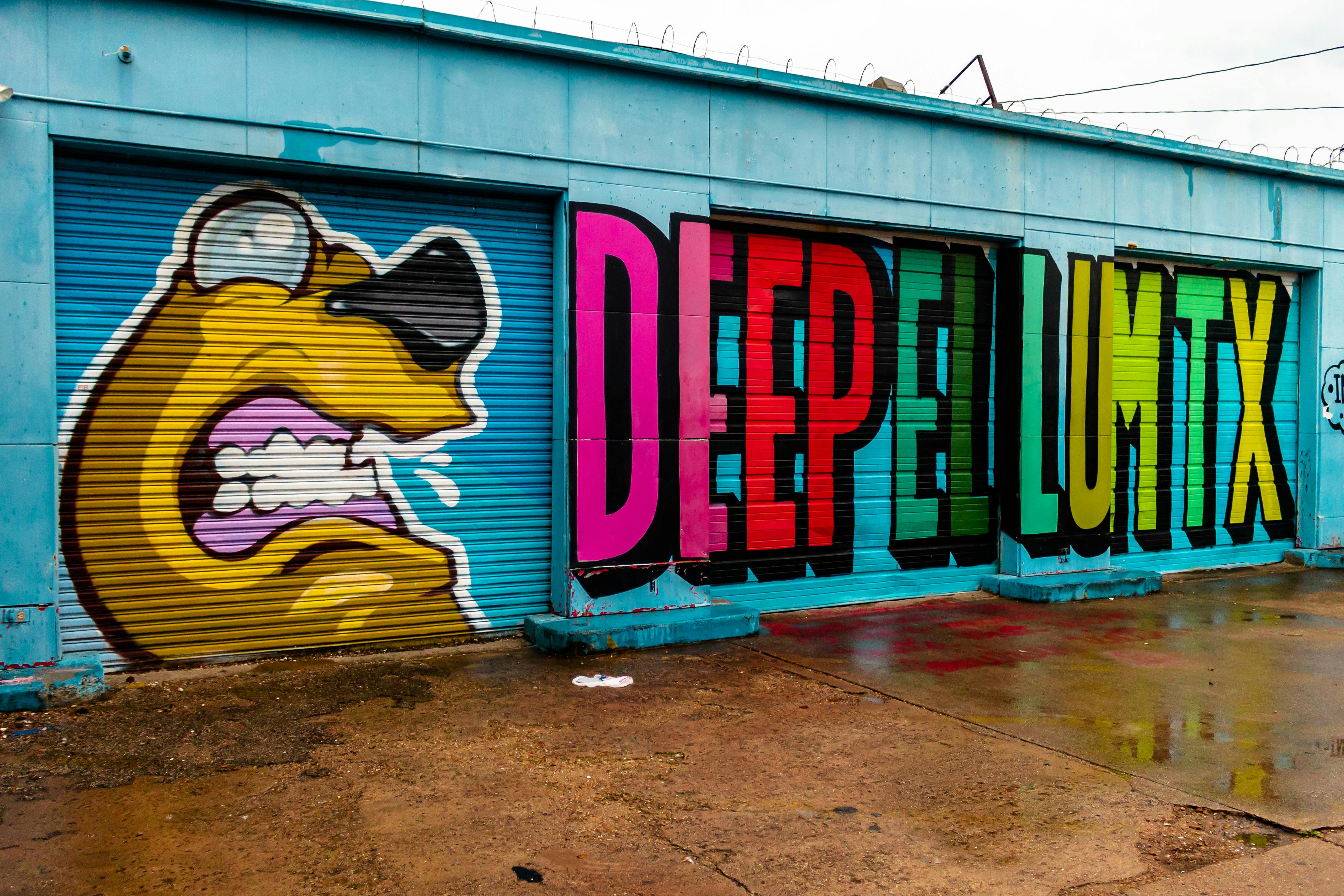 Shutters Covered in a Colorful Graffiti