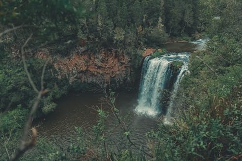 Foto profissional grátis de aerofotografia, cachoeira, floresta