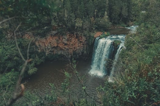 A beautiful waterfall cascading into a pool, surrounded by lush forest and rocky cliffs.