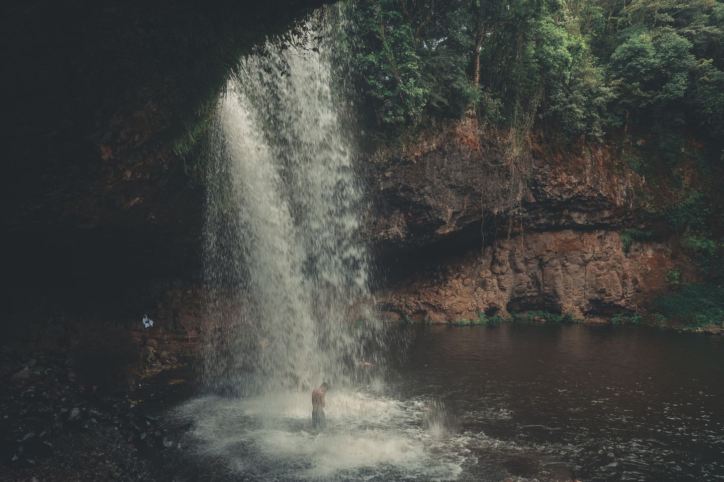 A tall waterfall falling into a pool surrounded by jungle in Hawaii