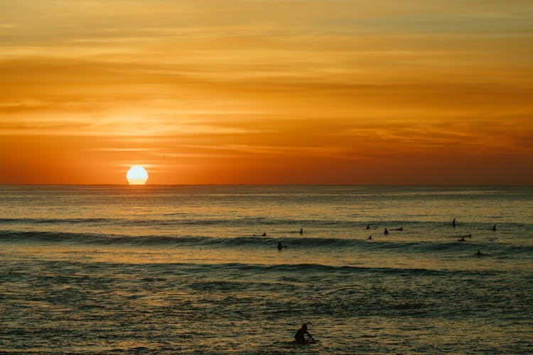 Silhouette Of People Swimming On The Beach During Sunset