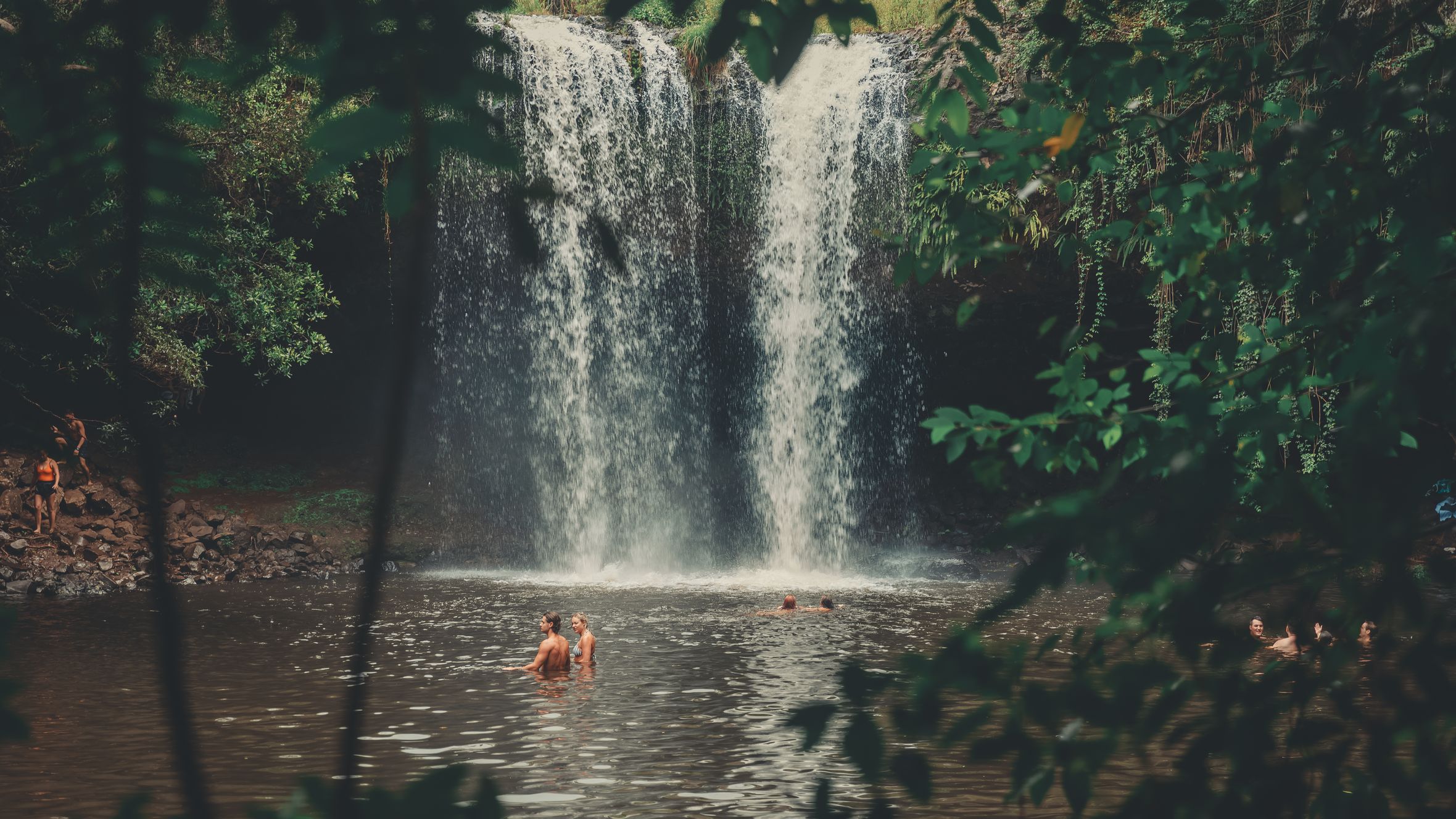 Group enjoying a swim in a serene waterfall setting amidst lush greenery. Perfect for relaxation and nature lovers.