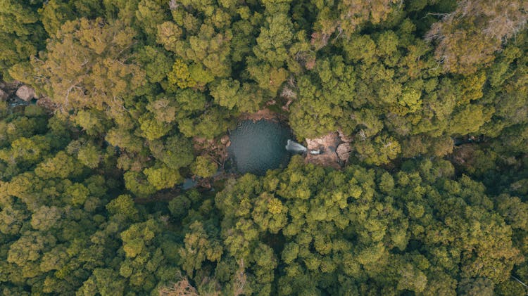 Aerial View Of A Pond And A Small Waterfall Surrounded By Green Forest Trees